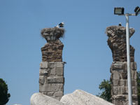 RUINE Fotografii orasul Selcuk/ Selciuc - Turcia 